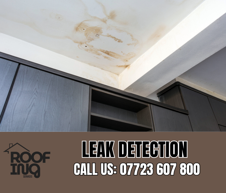 Roof leak detection and repair in Paignton