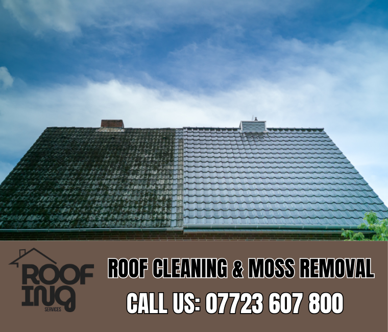 Roof cleaning and moss removal in Paignton