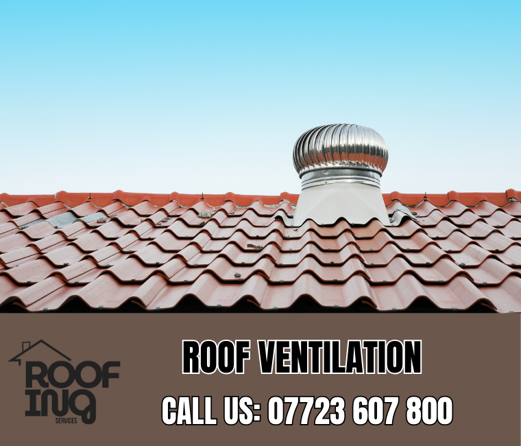 Roof ventilation solutions in Paignton